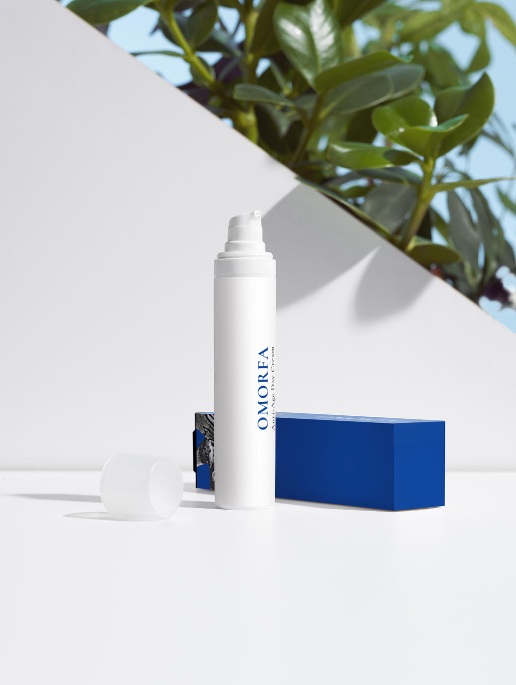 Anti-Age Day Cream
